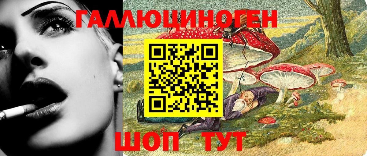 Электрогорск  Псилоцибиновые грибы Magic Shrooms  Вход с VPN 